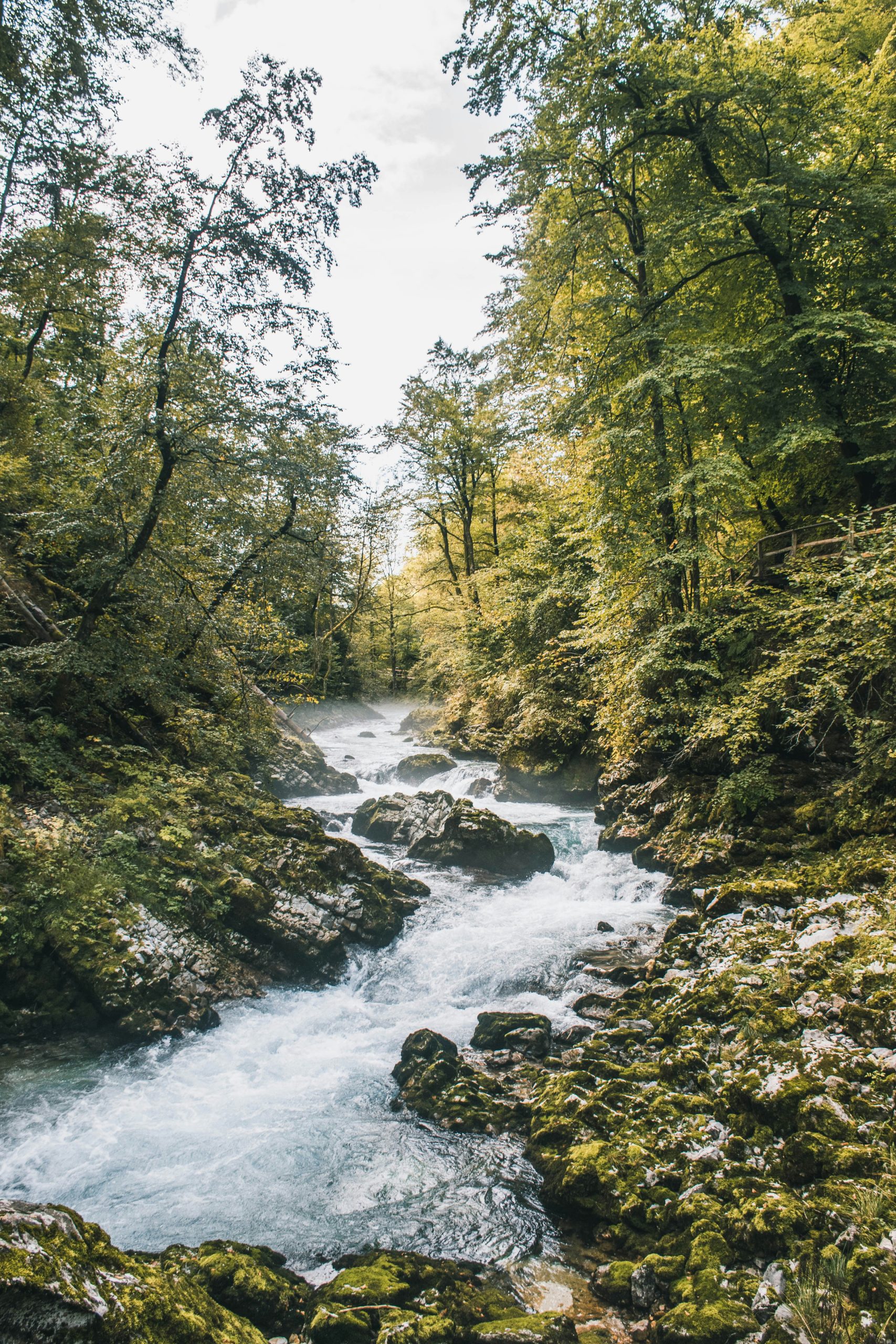 Narava